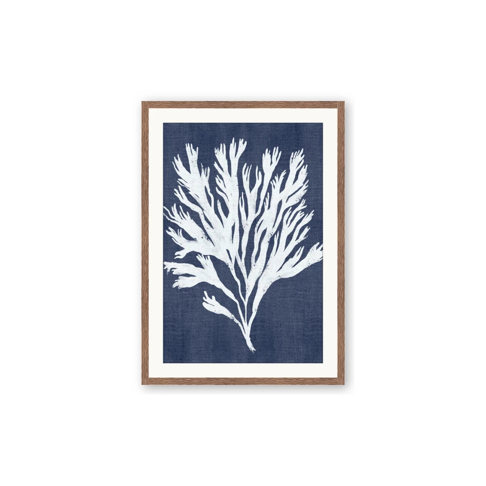 Navy Coral II