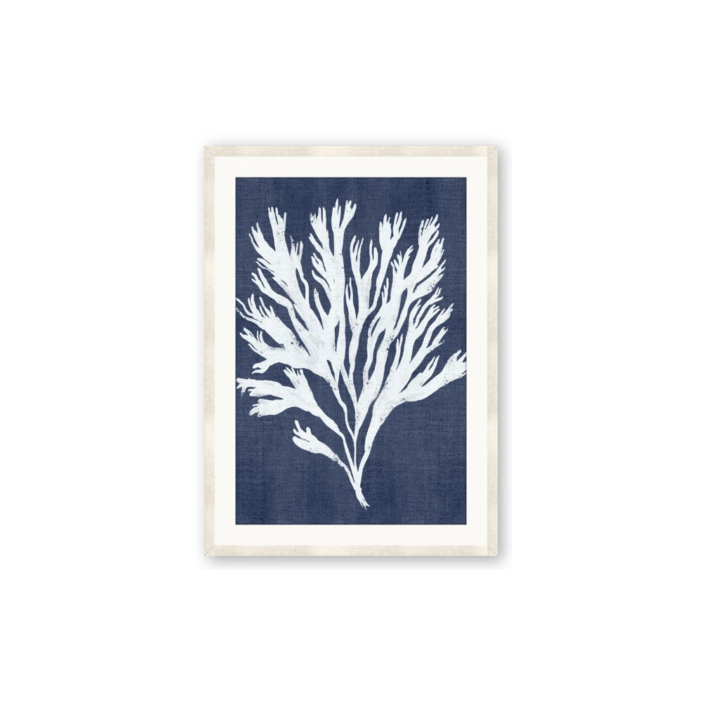 Navy Coral II