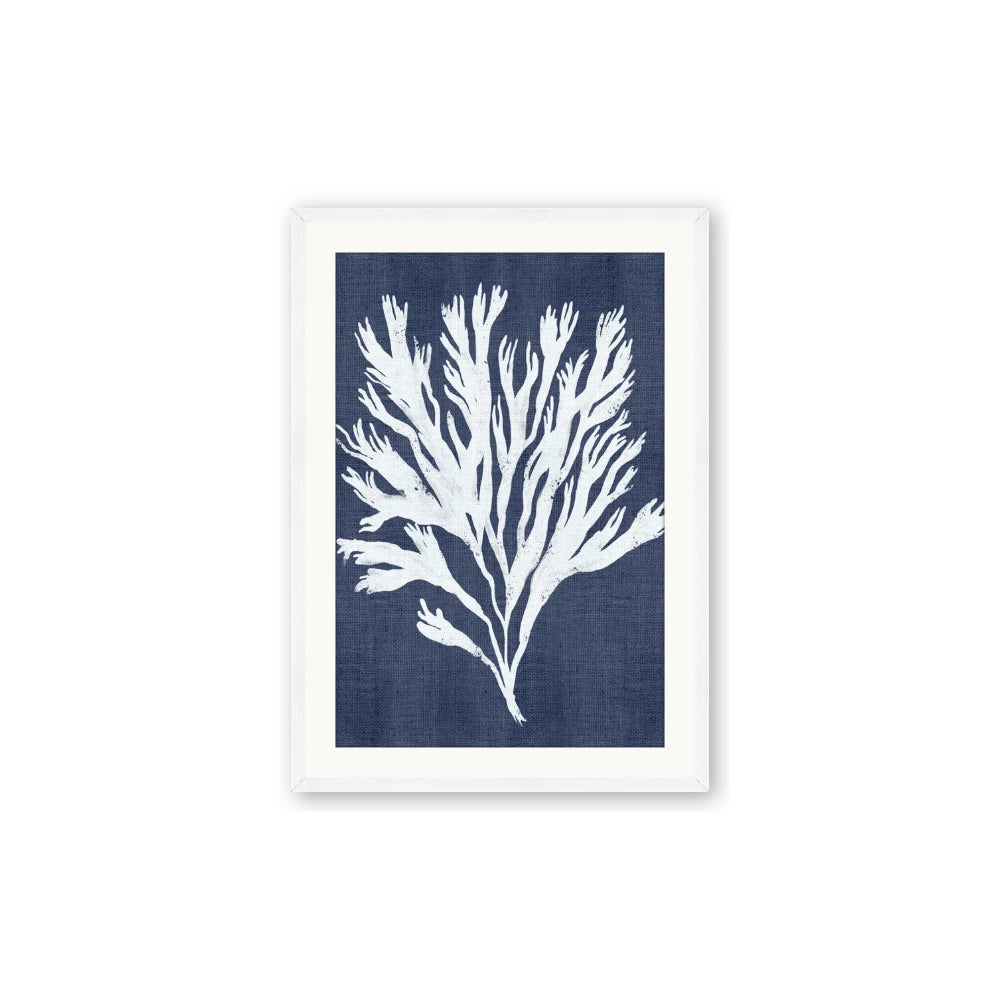 Navy Coral II