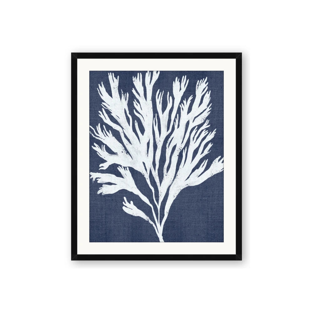 Navy Coral II