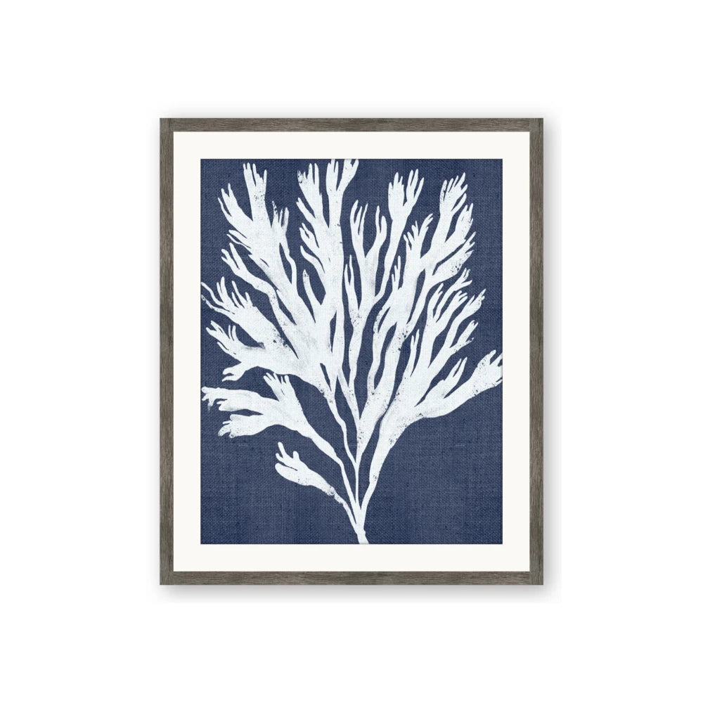 Navy Coral II