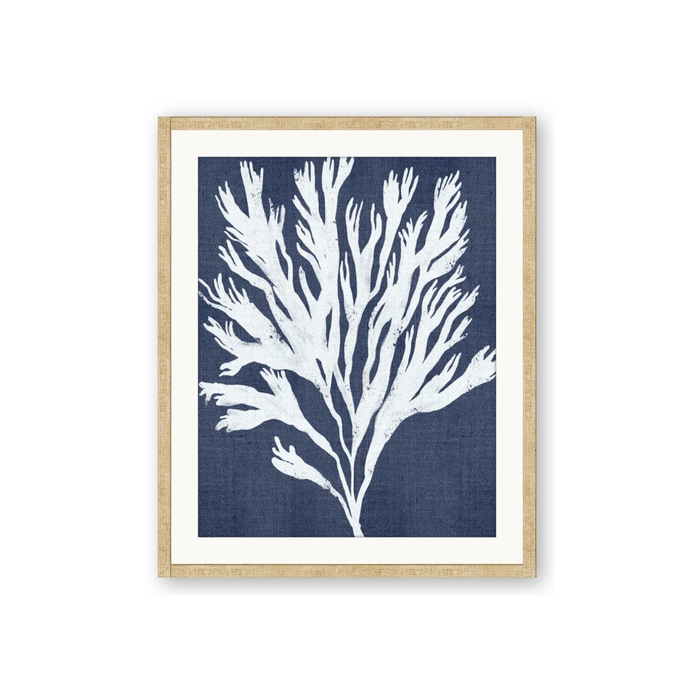 Navy Coral II