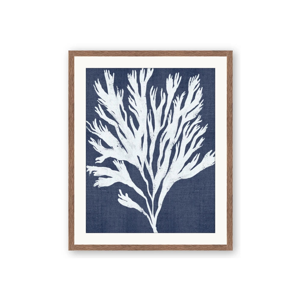 Navy Coral II