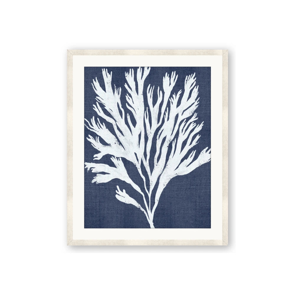 Navy Coral II