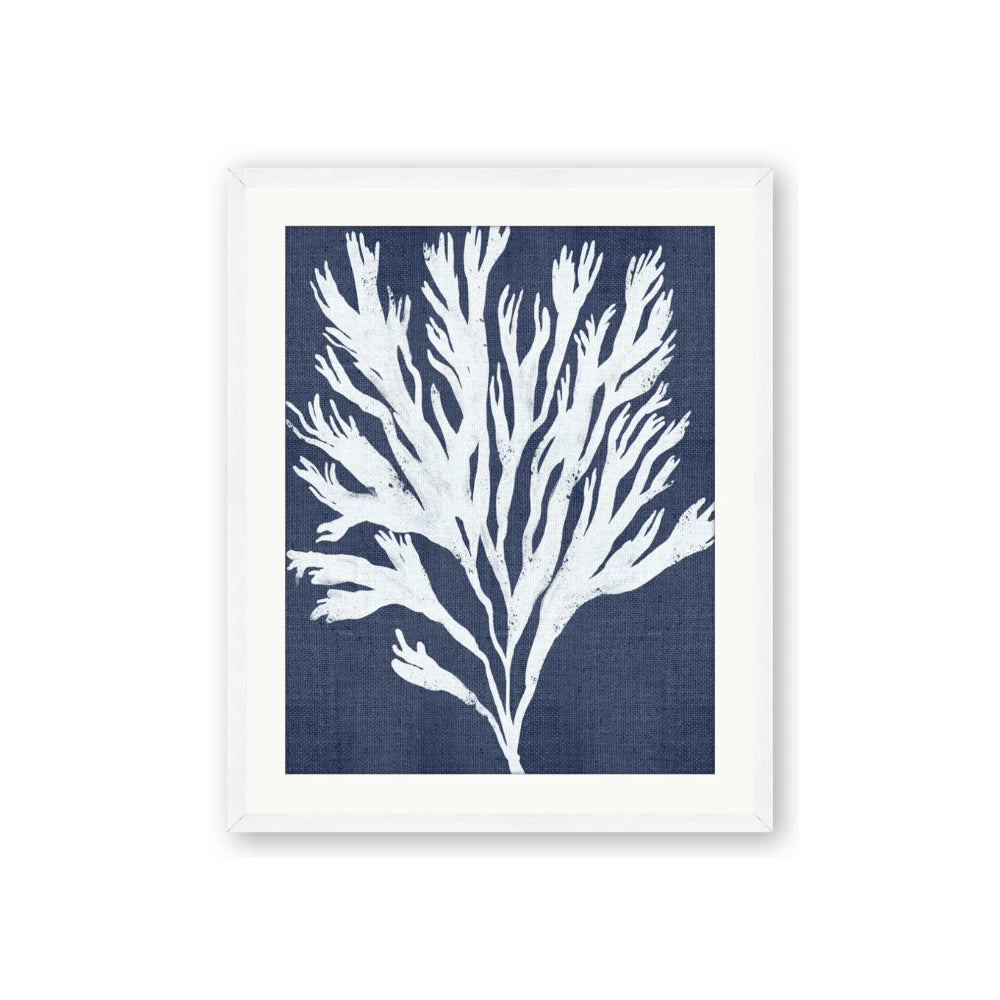 Navy Coral II
