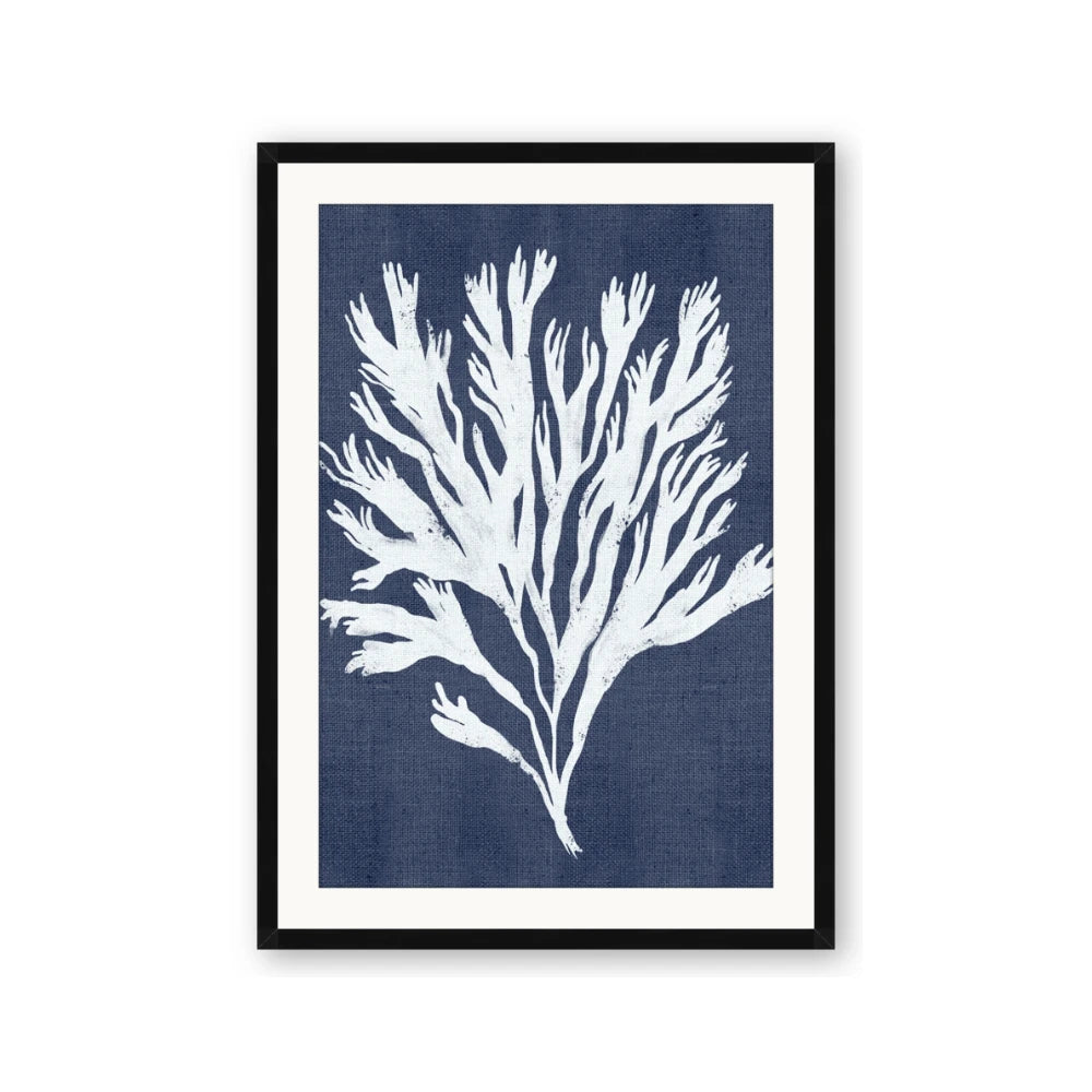 Navy Coral II