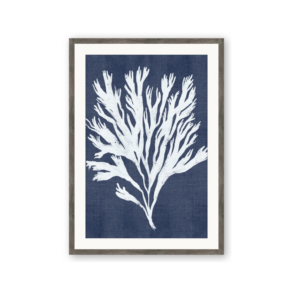 Navy Coral II