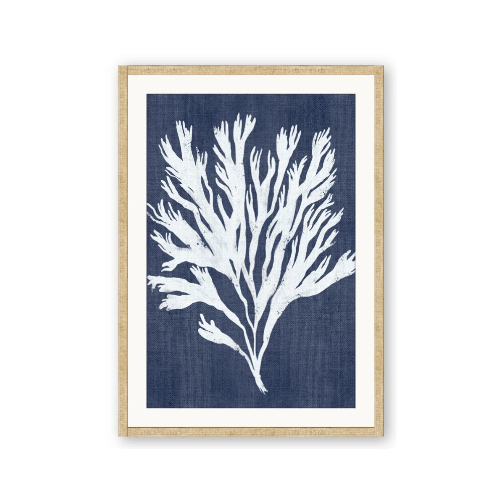 Navy Coral II