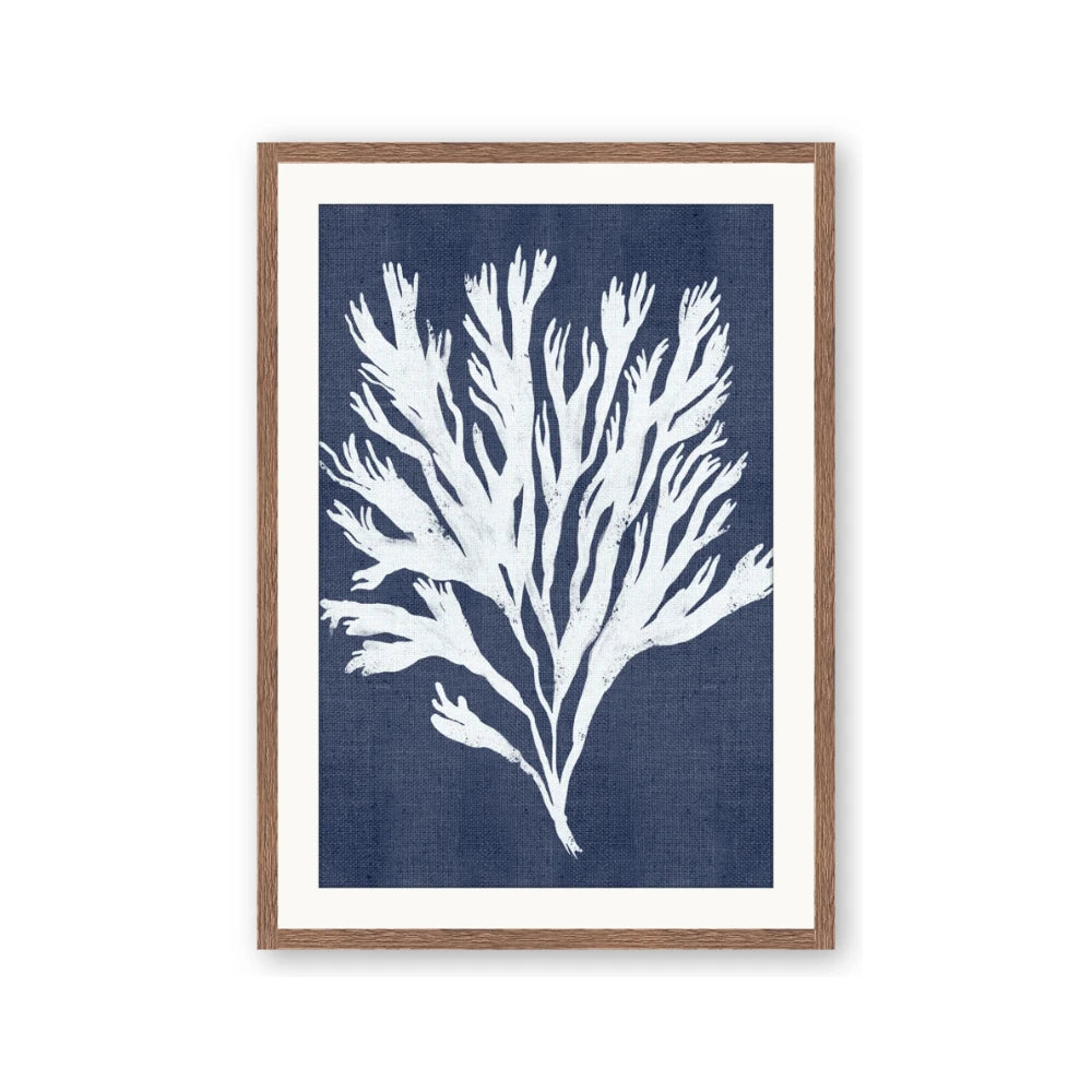 Navy Coral II