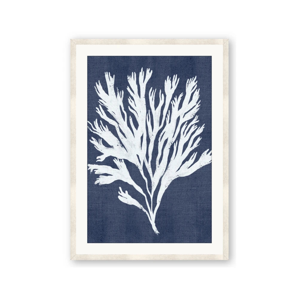 Navy Coral II
