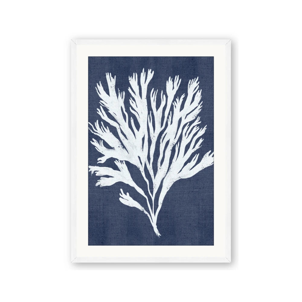 Navy Coral II