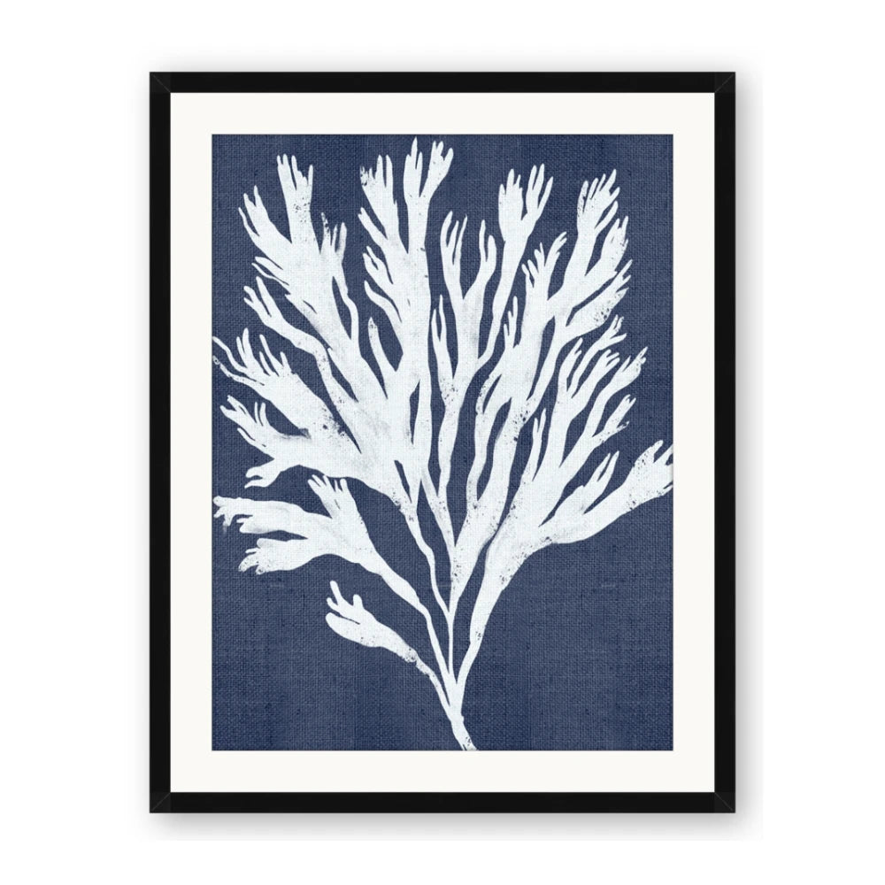 Navy Coral II