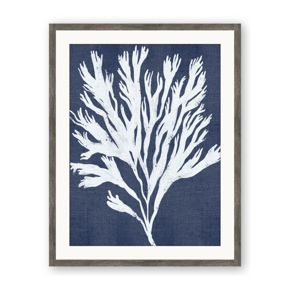 Navy Coral II