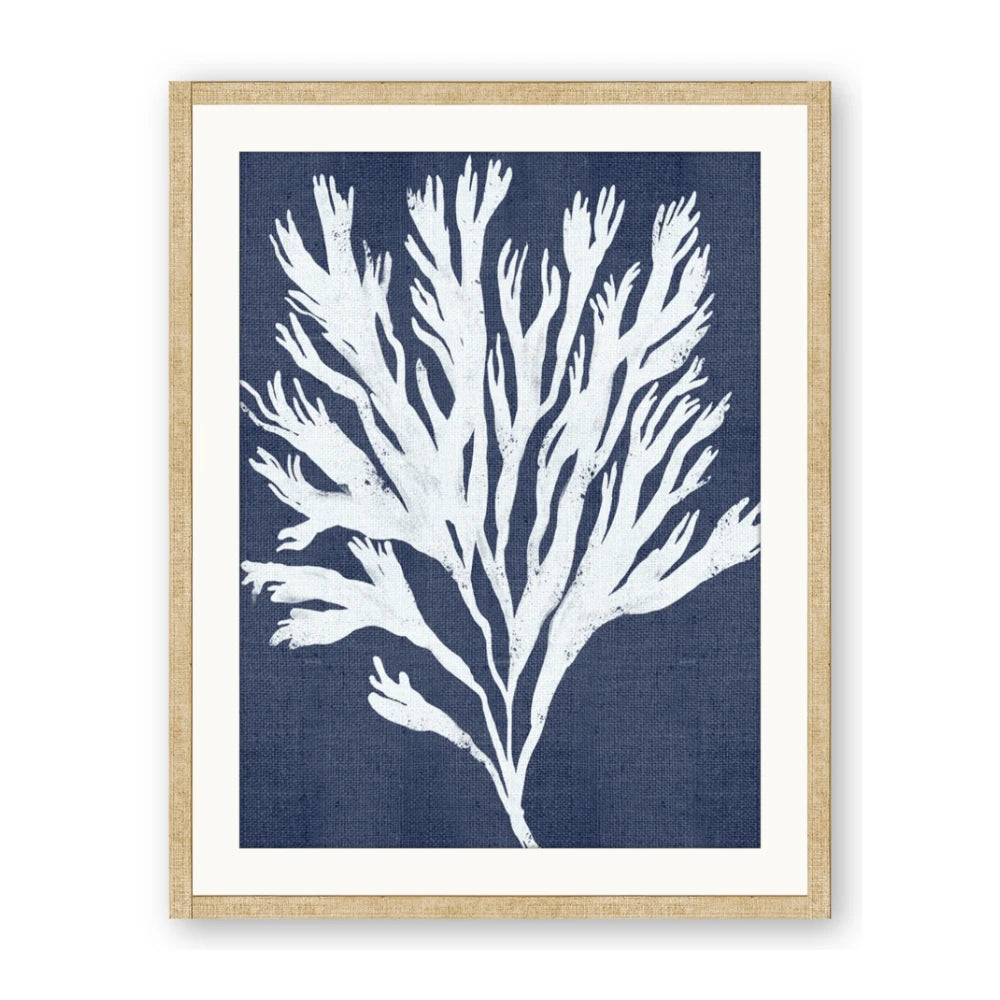 Navy Coral II