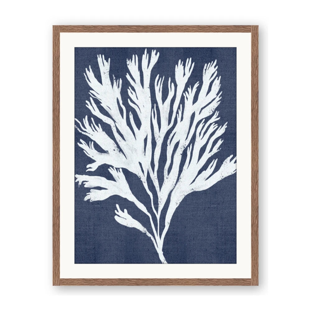 Navy Coral II