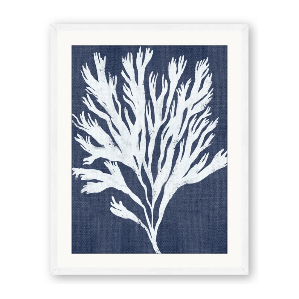 Navy Coral II