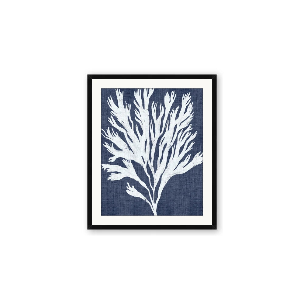 Navy Coral II