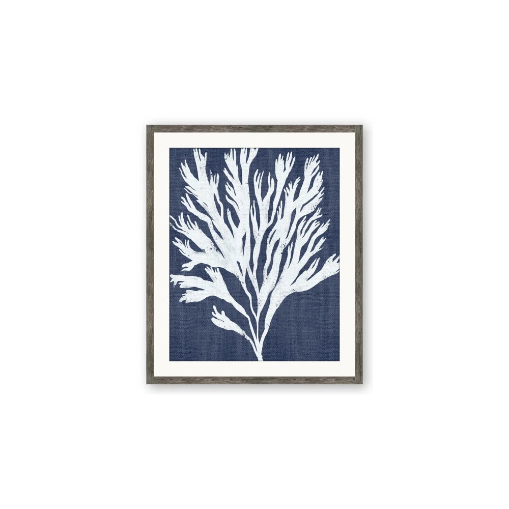 Navy Coral II