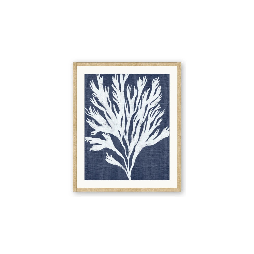 Navy Coral II