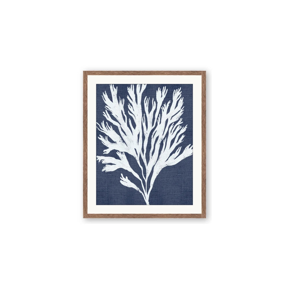 Navy Coral II