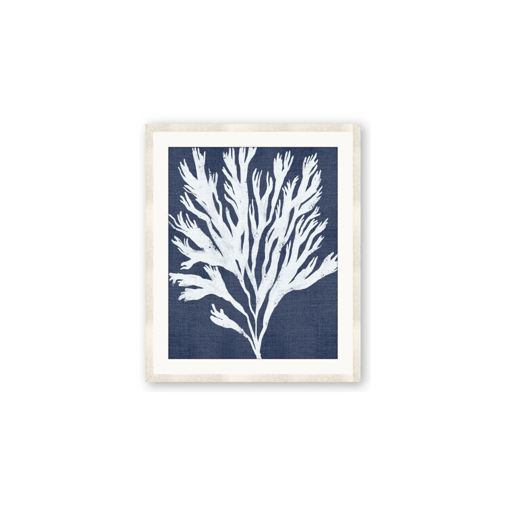 Navy Coral II