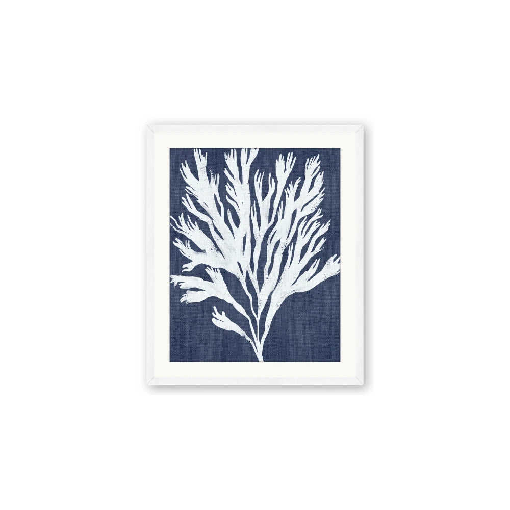 Navy Coral II