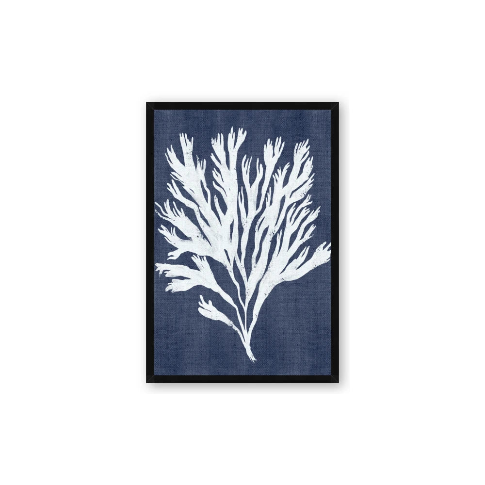 Navy Coral II