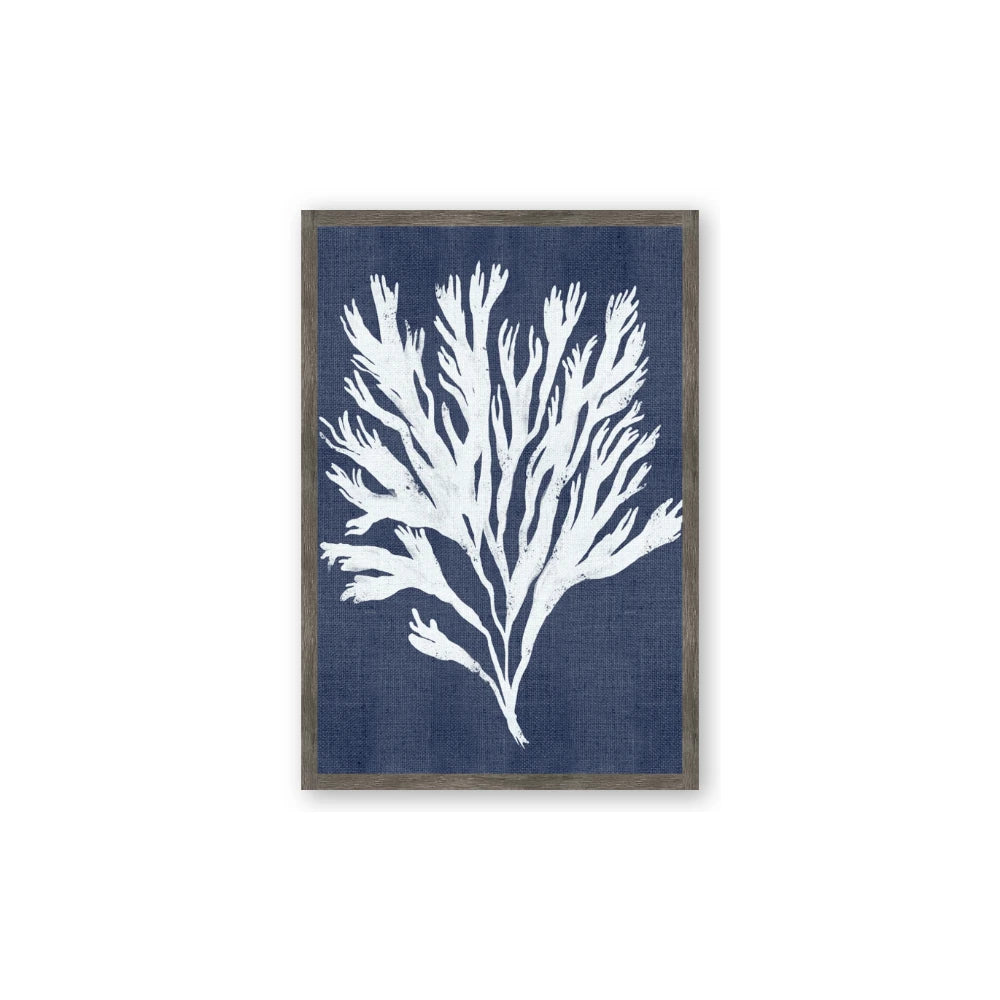 Navy Coral II