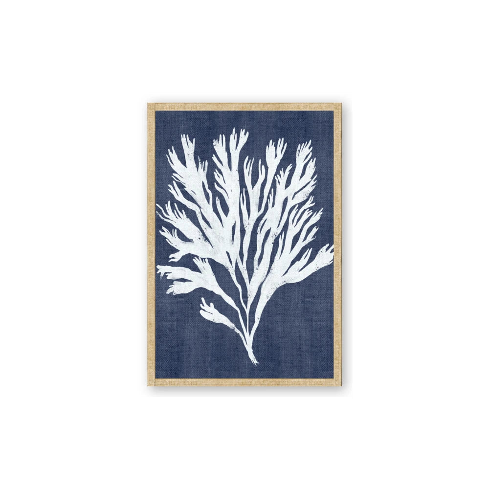 Navy Coral II