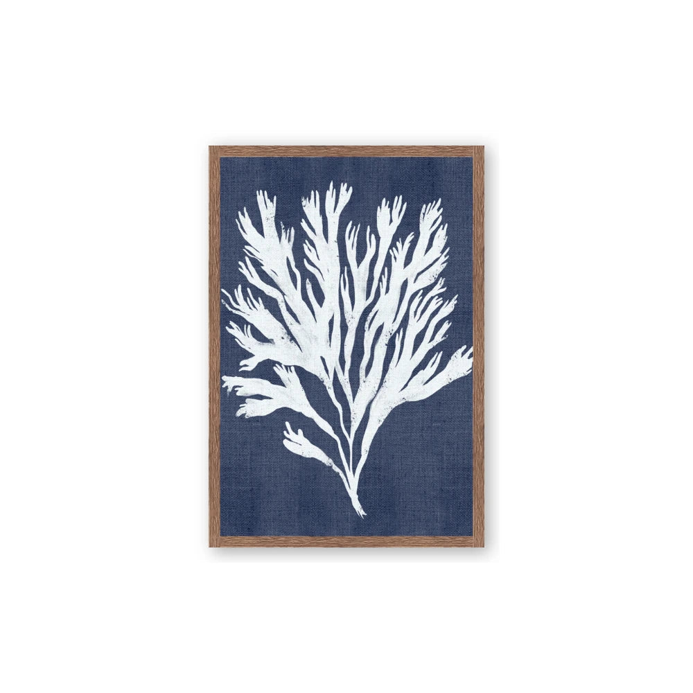 Navy Coral II
