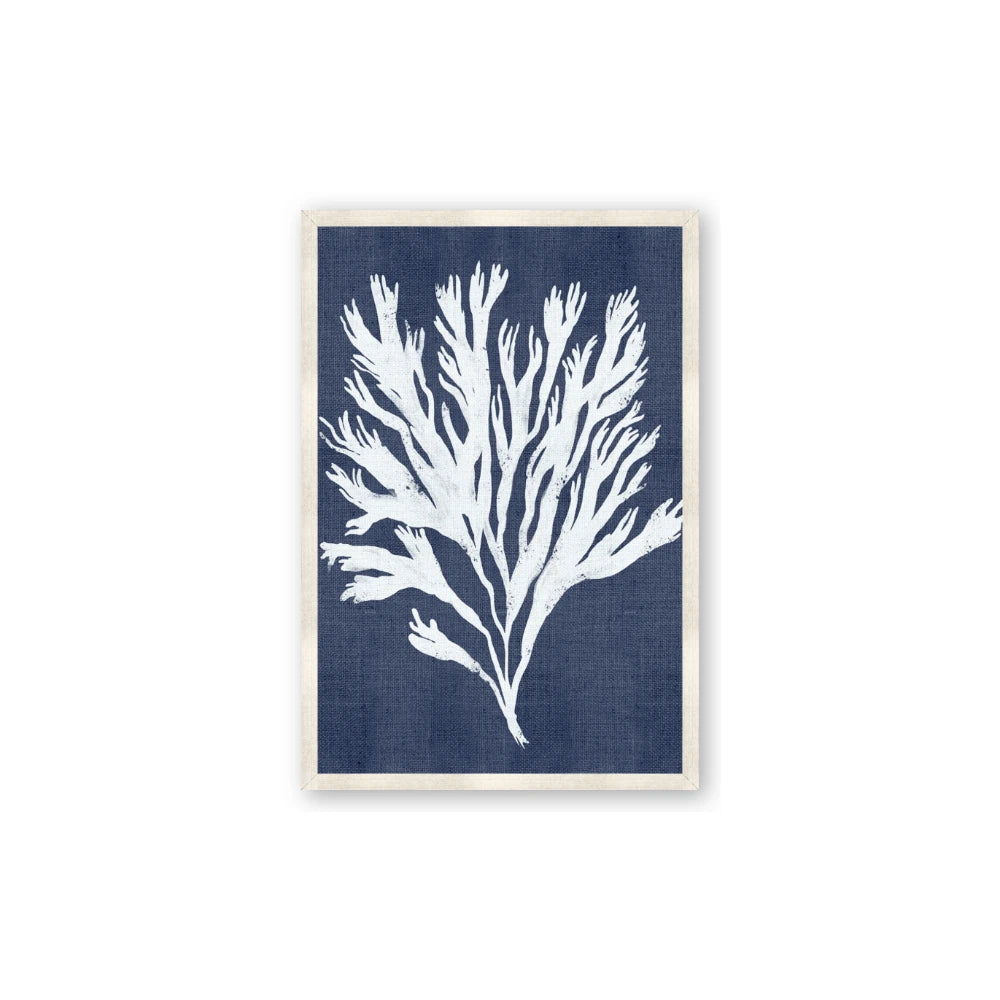 Navy Coral II