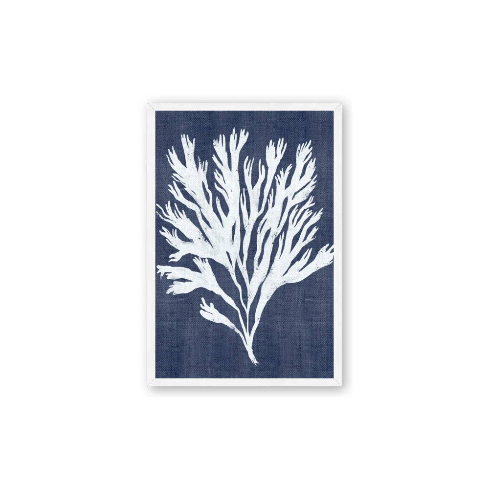 Navy Coral II