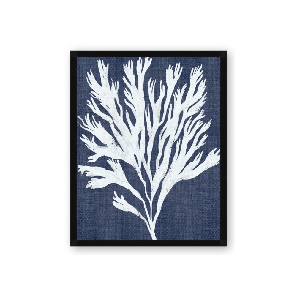 Navy Coral II