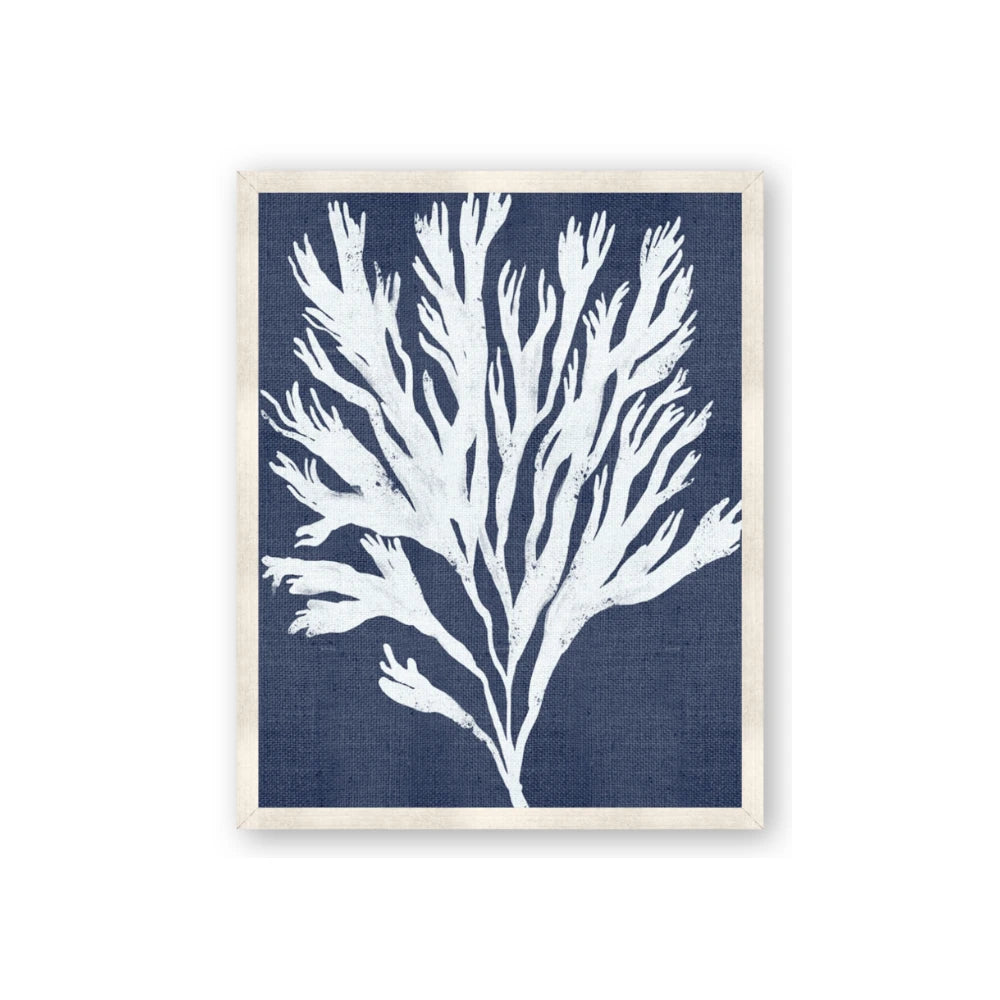 Navy Coral II
