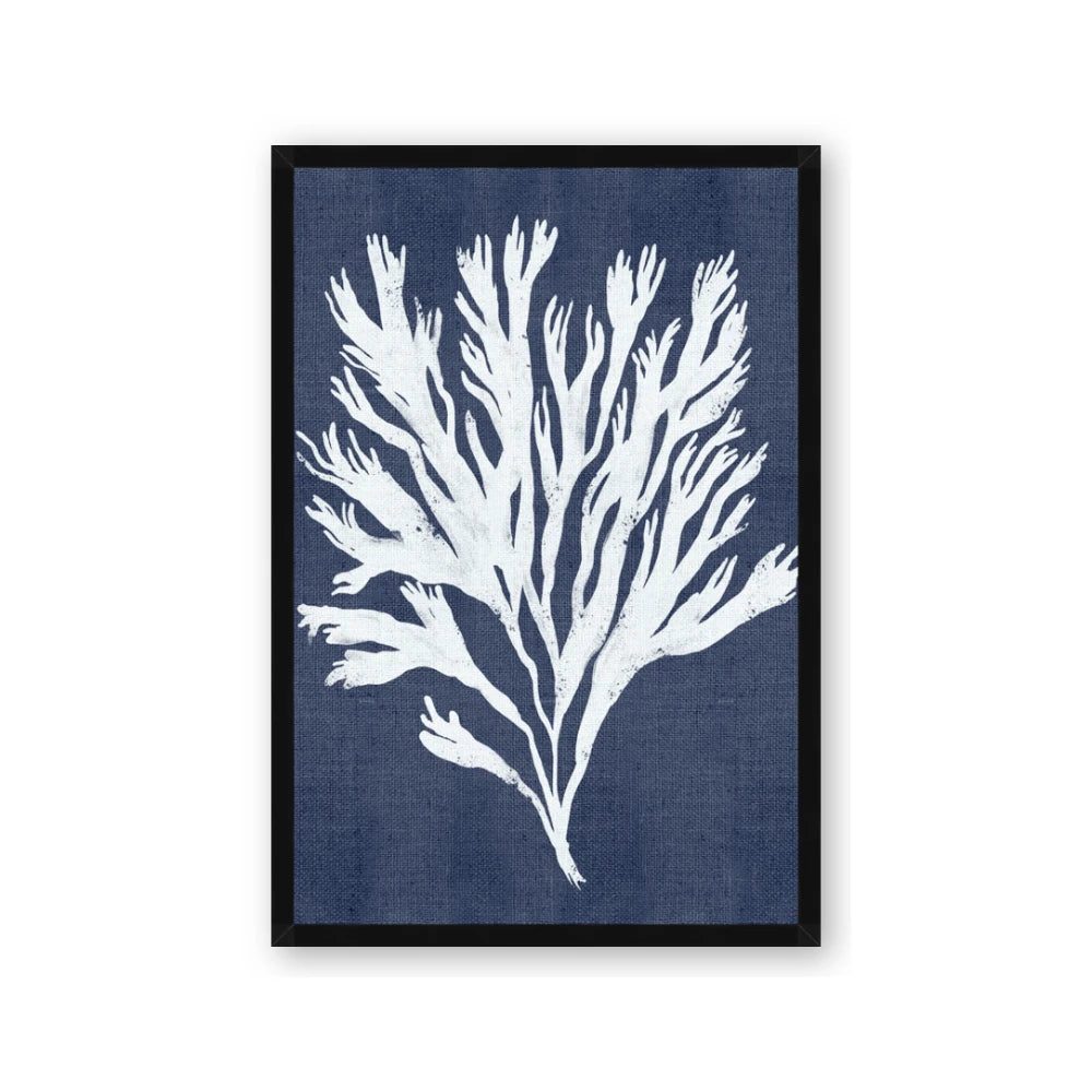 Navy Coral II