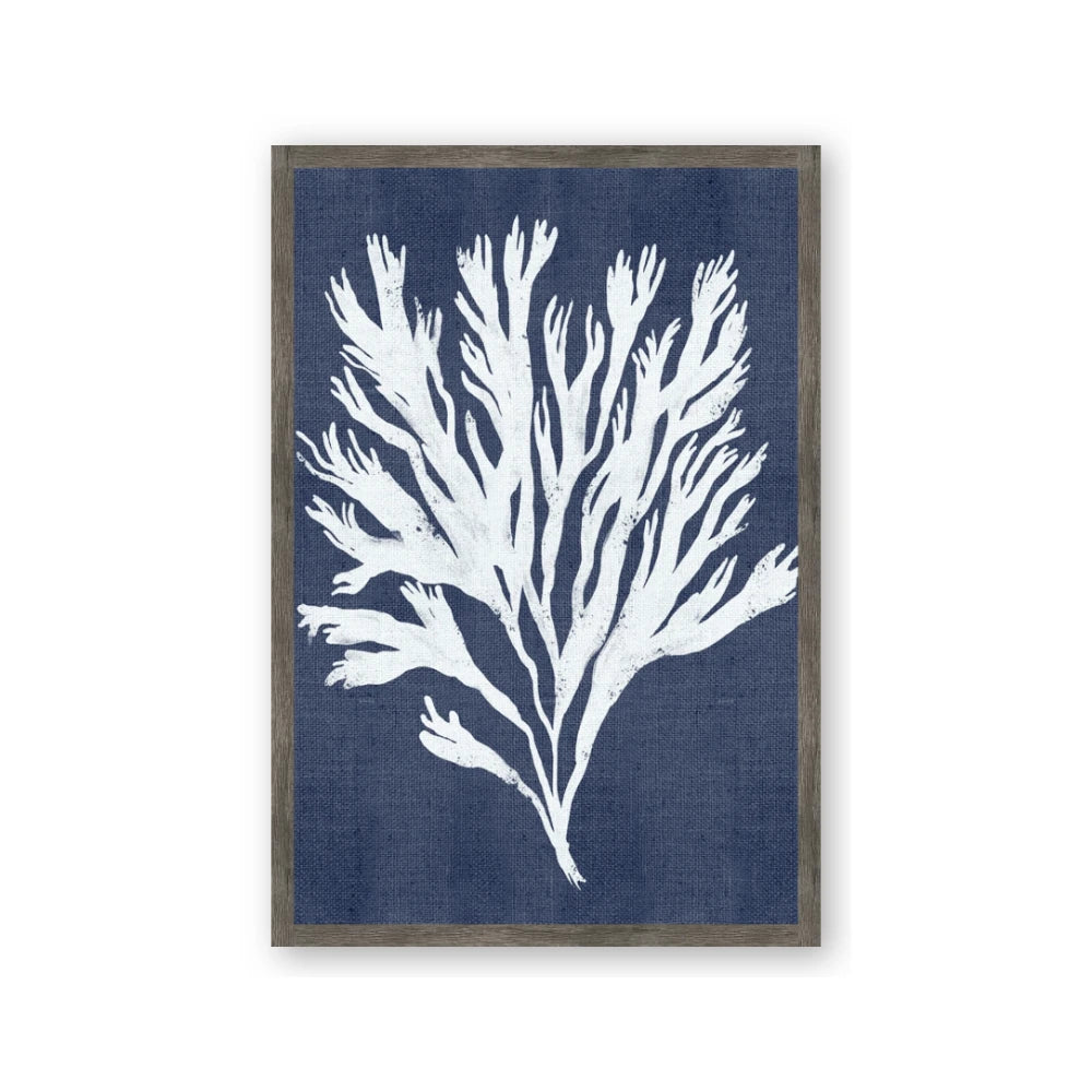 Navy Coral II