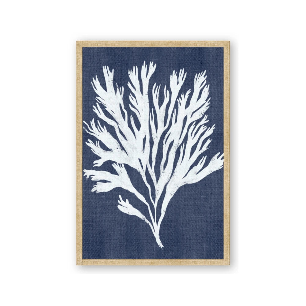 Navy Coral II
