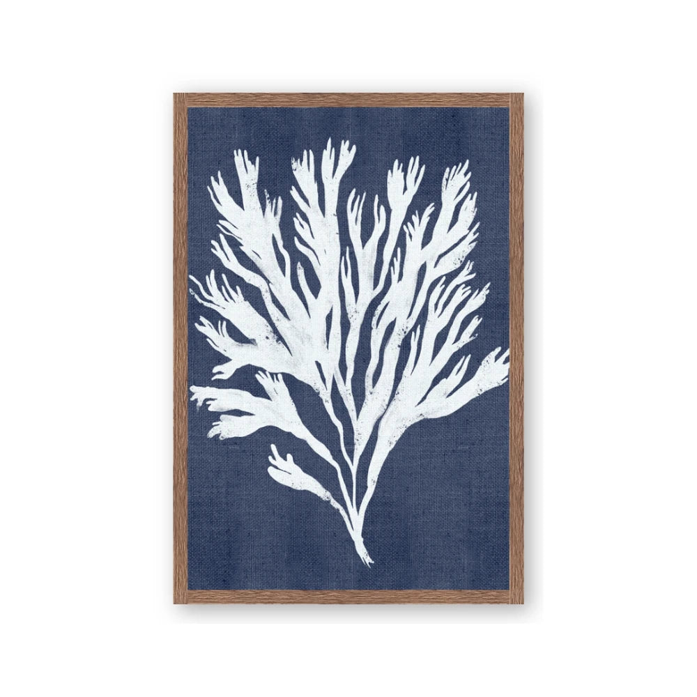 Navy Coral II