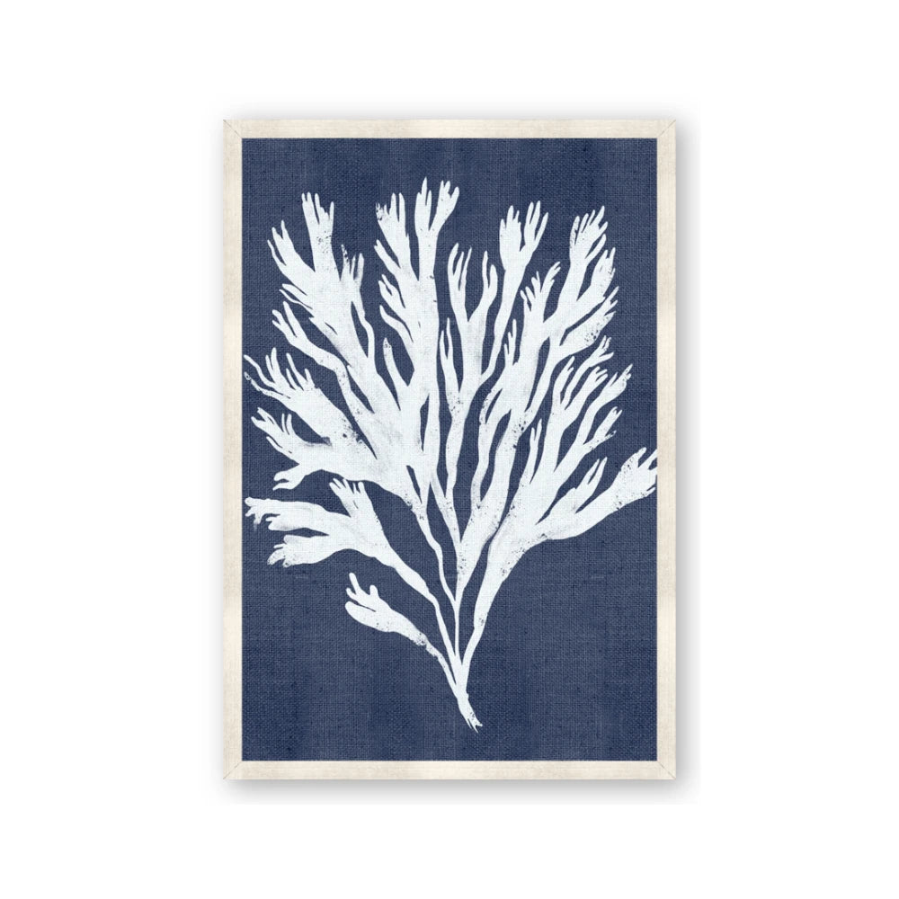 Navy Coral II