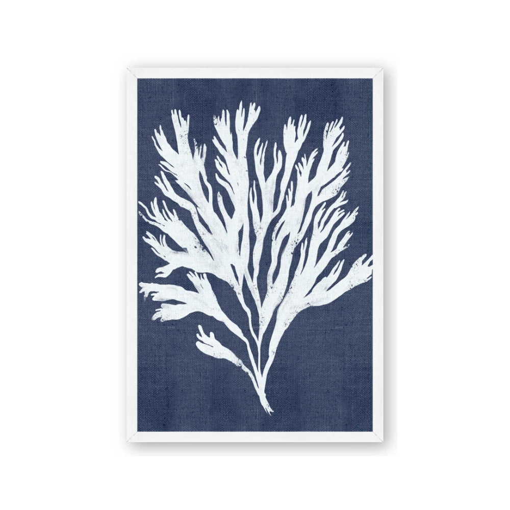 Navy Coral II