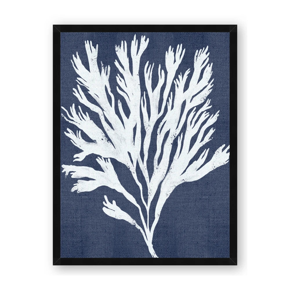Navy Coral II