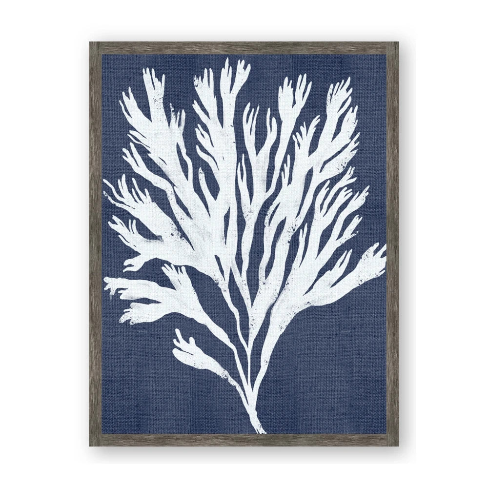 Navy Coral II
