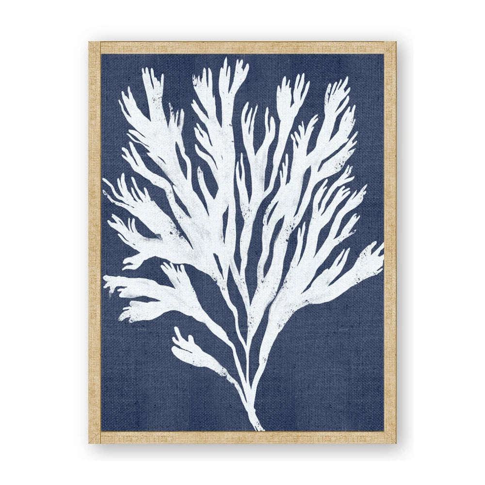 Navy Coral II