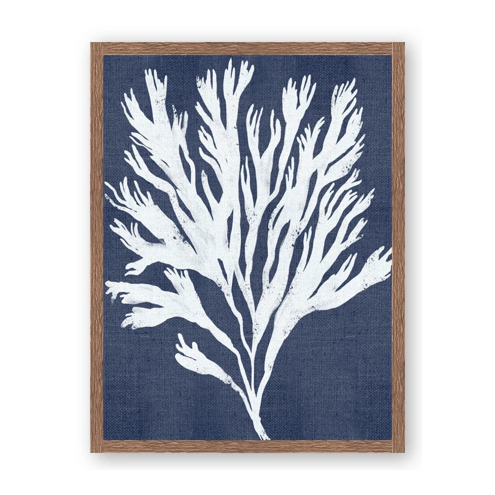 Navy Coral II