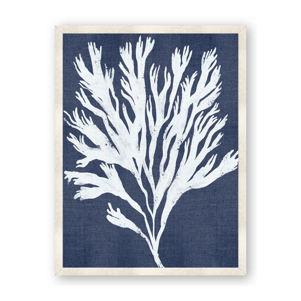 Navy Coral II