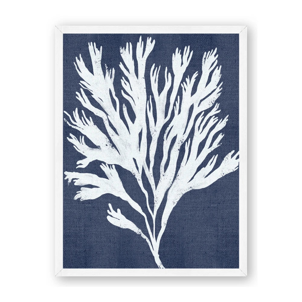 Navy Coral II