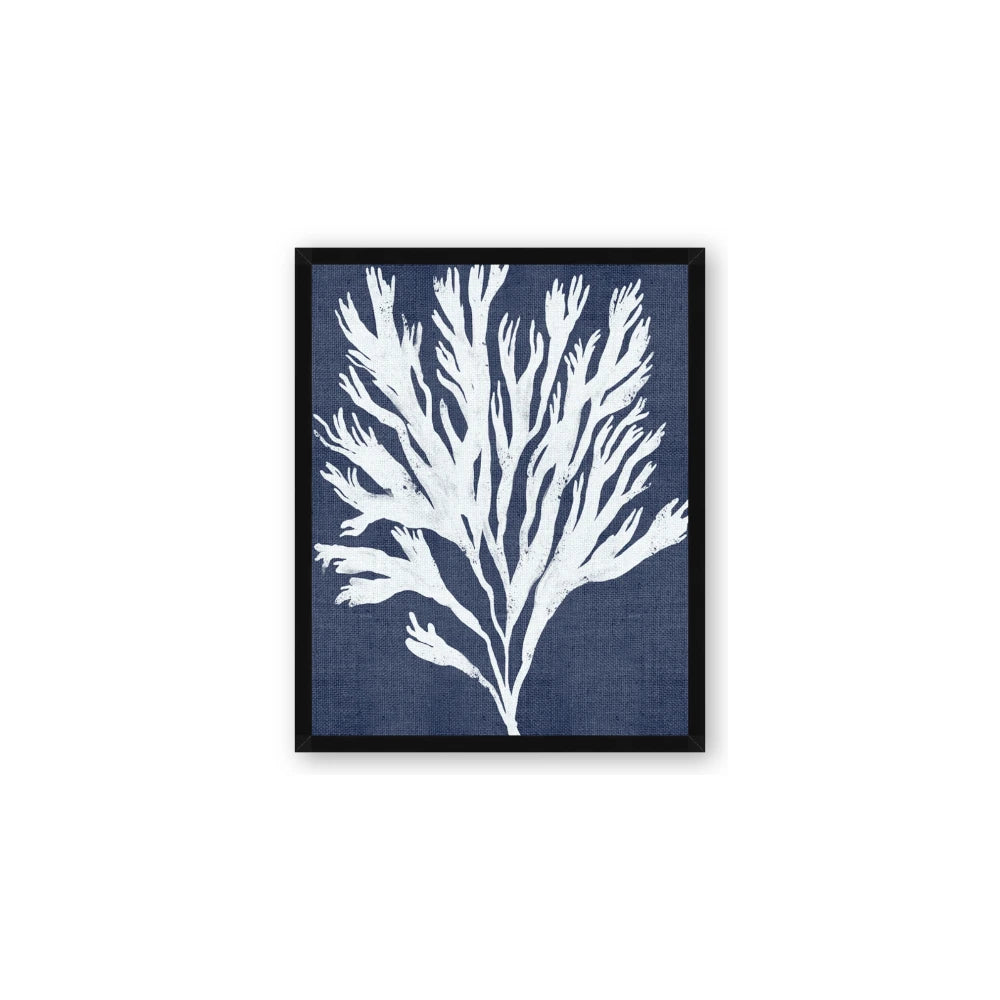 Navy Coral II