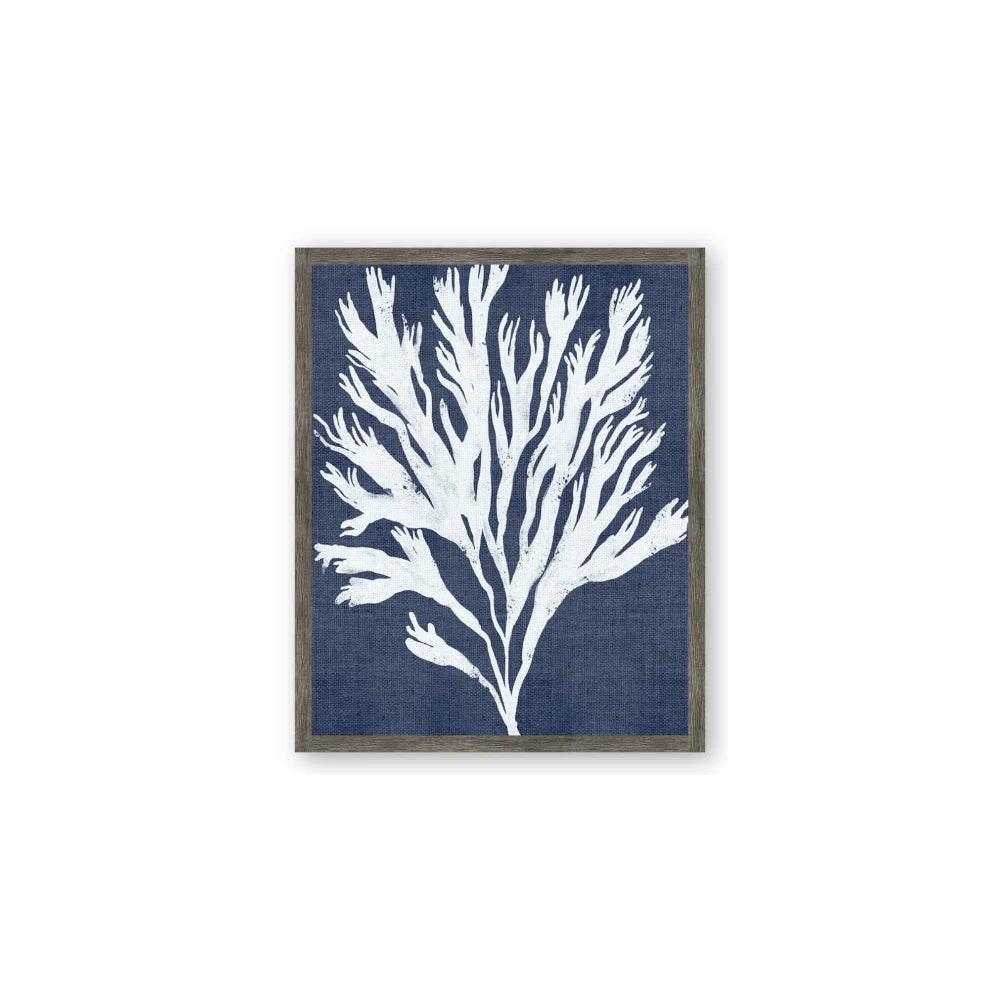 Navy Coral II