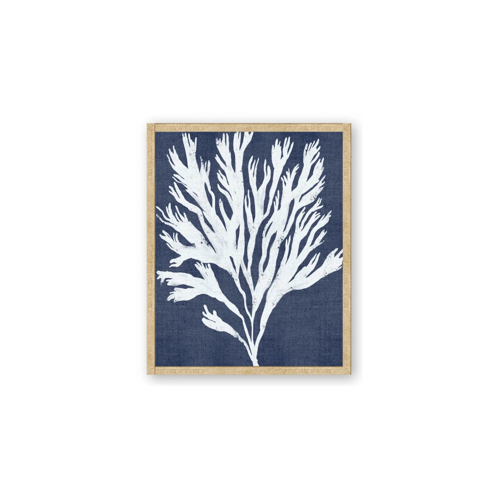 Navy Coral II