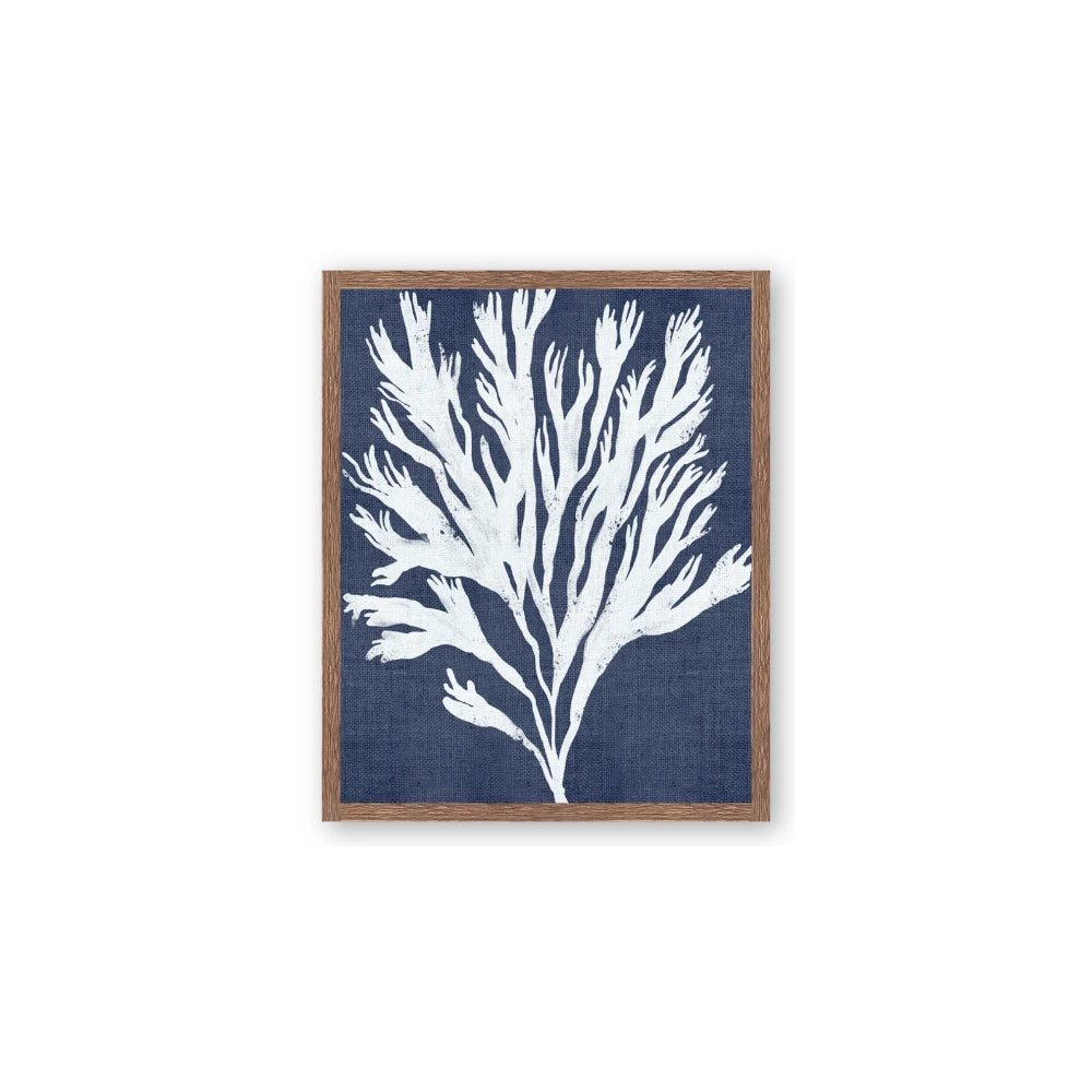 Navy Coral II